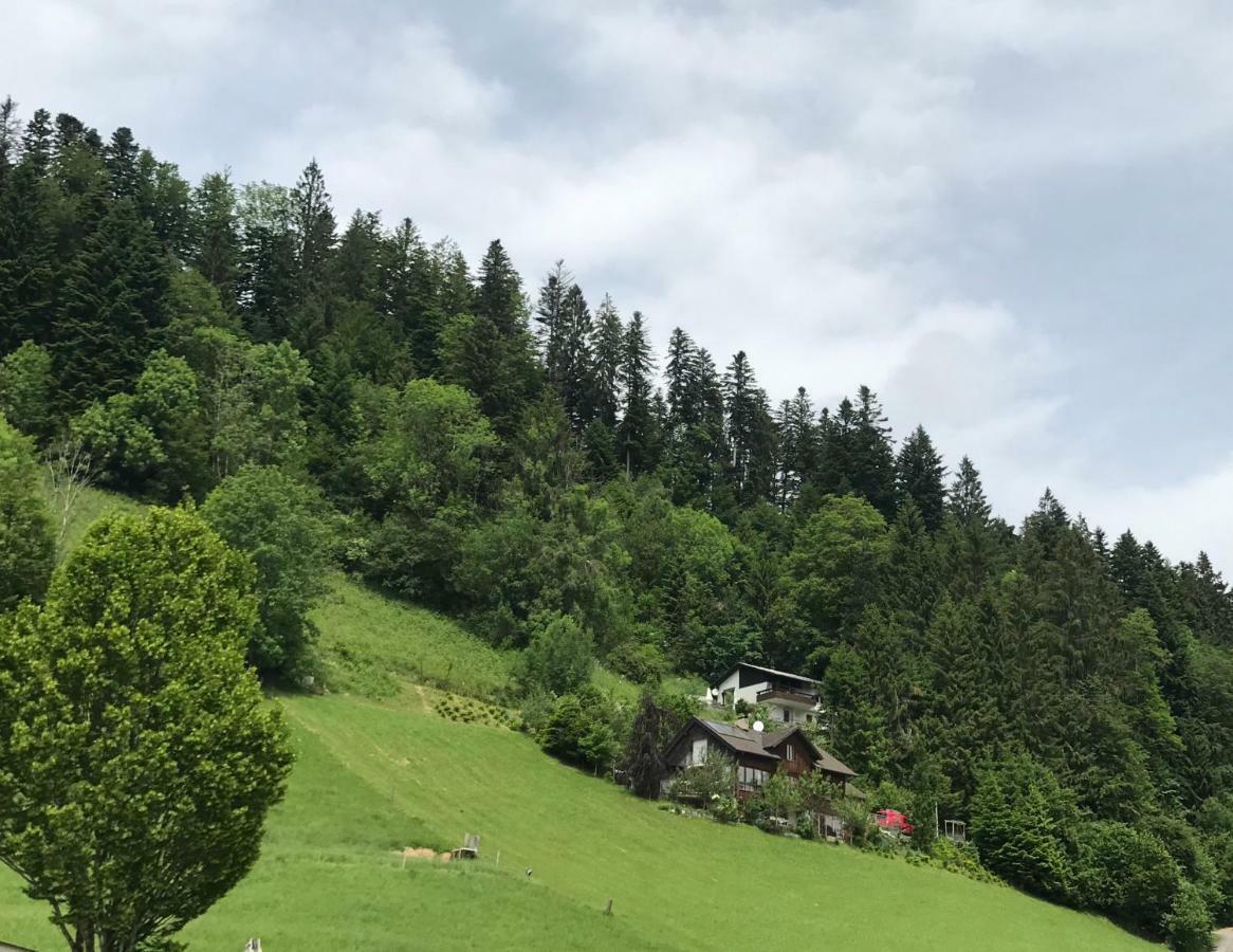 Residenza Casa Ernesto Bregenz Exteriér fotografie